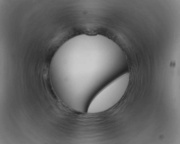 X0000093260129200709261626