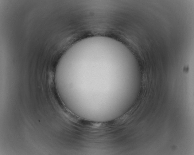 X0000093260130200709261626