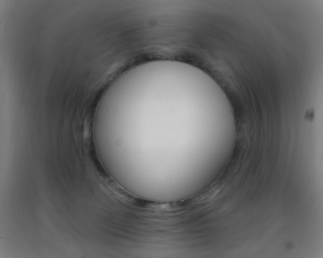 X0000093260131200709261626