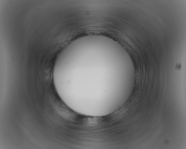 X0000093260134200709261626