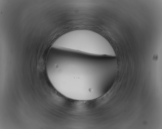 X0000093260136200709261626