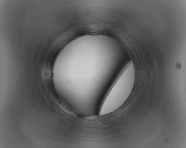 X0000093260137200709261626