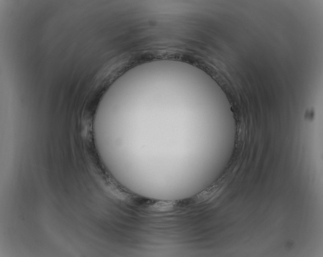 X0000093260138200709261626
