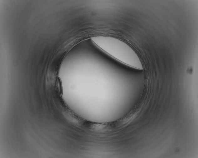 X0000093260139200709261626
