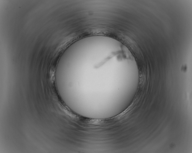 X0000093260142200709261626