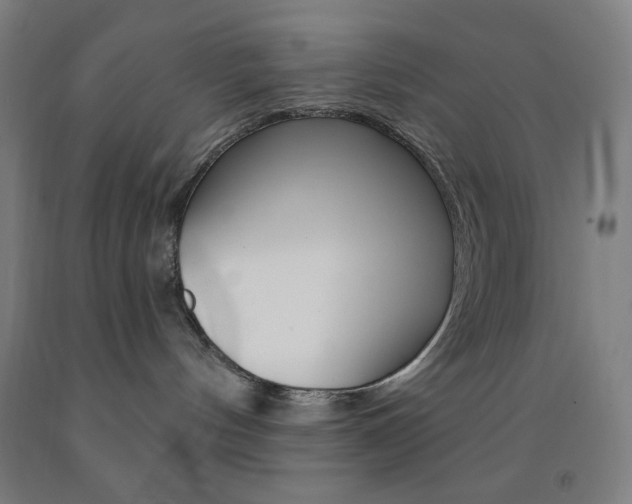 X0000093260144200709261626