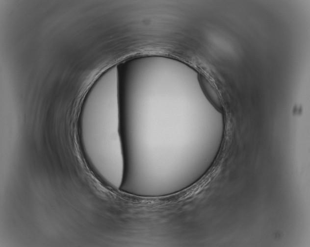 X0000093260145200709261625
