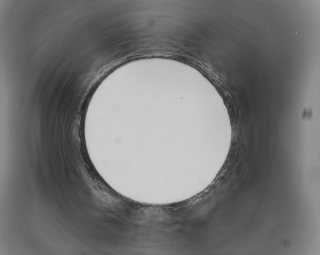 X0000093260146200709261625