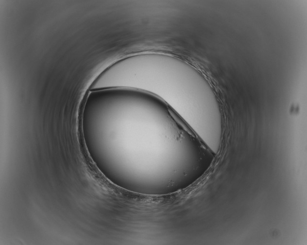 X0000093260148200709261625