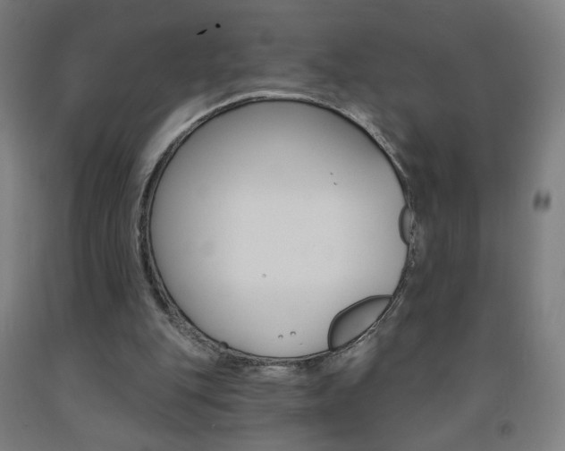 X0000093260151200709261625