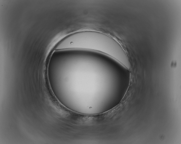 X0000093260152200709261625