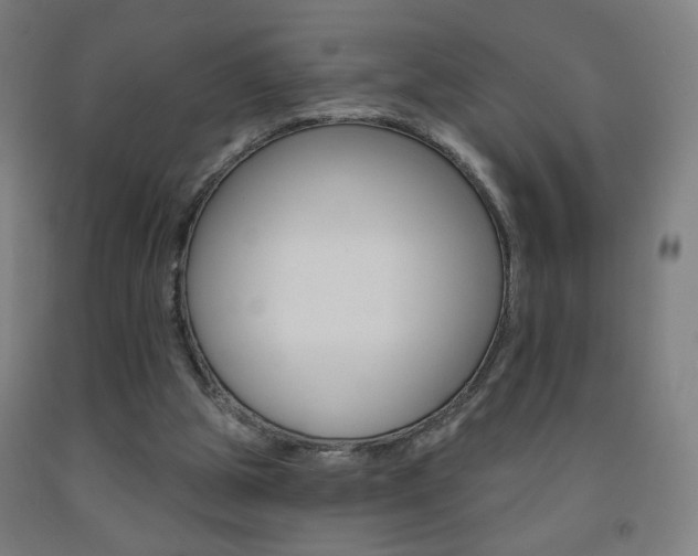 X0000093260153200709261625