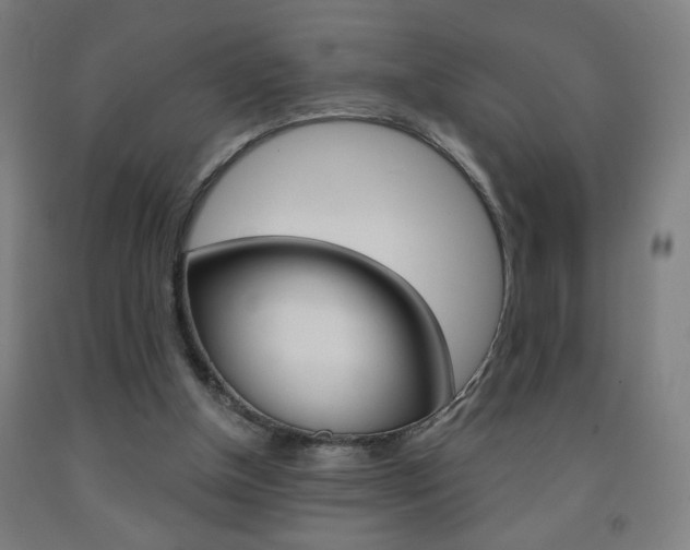 X0000093260154200709261625