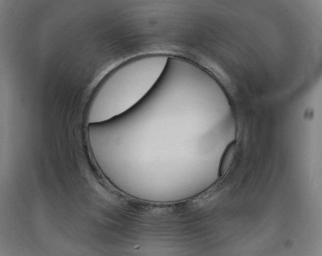 X0000093260155200709261625