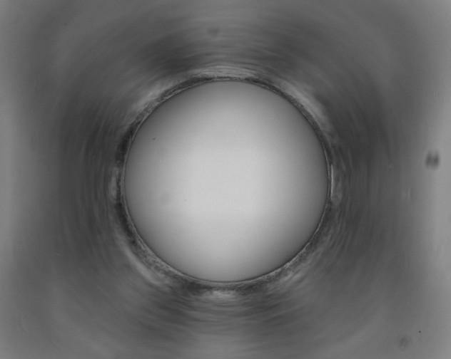 X0000093260157200709261625