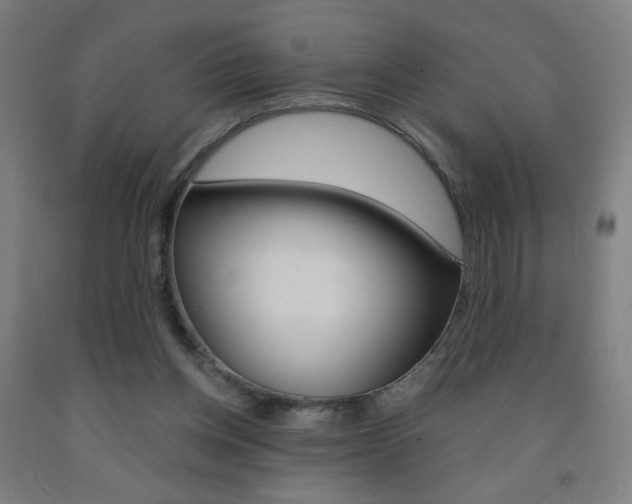 X0000093260158200709261625