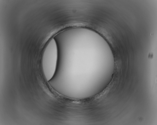 X0000093260159200709261625