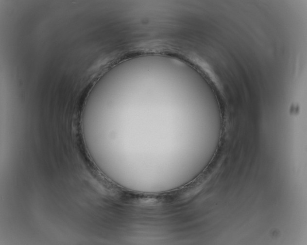 X0000093260161200709261625