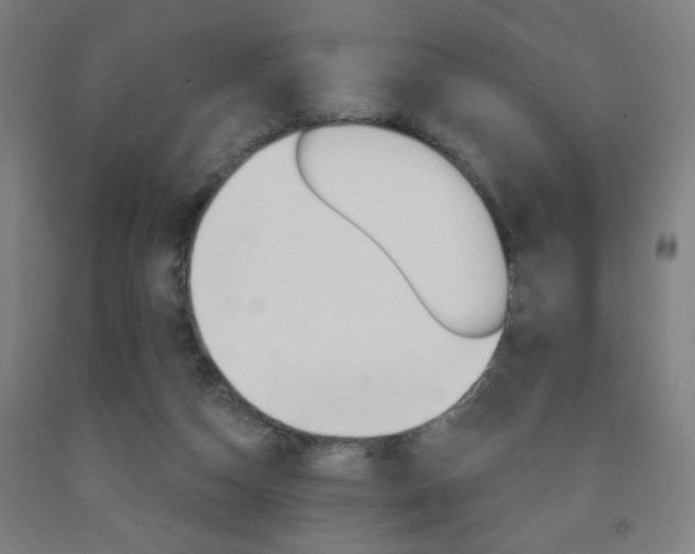 X0000093260162200709261625