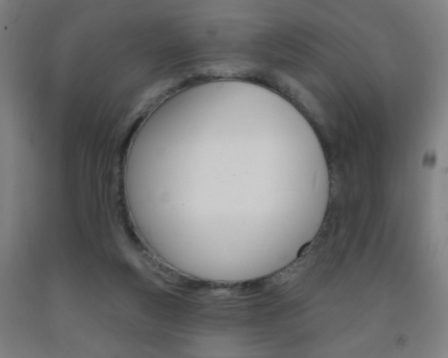 X0000093260163200709261625