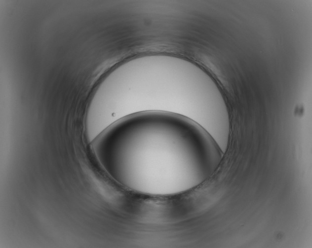 X0000093260164200709261625