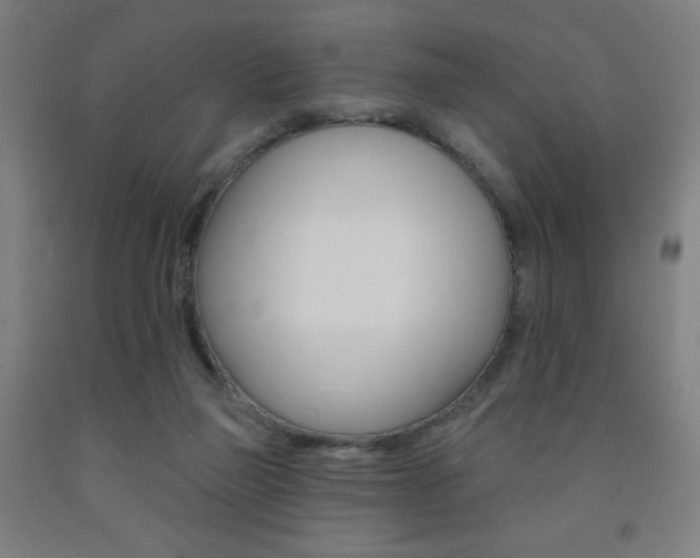 X0000093260165200709261625