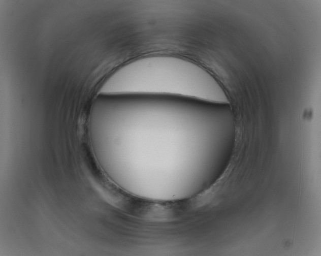 X0000093260166200709261625