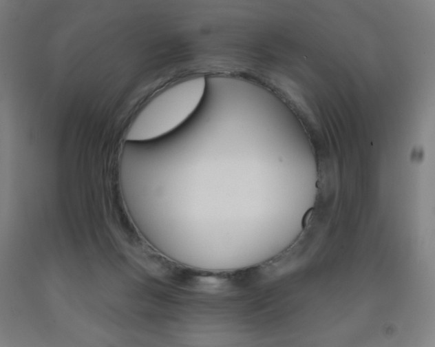 X0000093260167200709261625