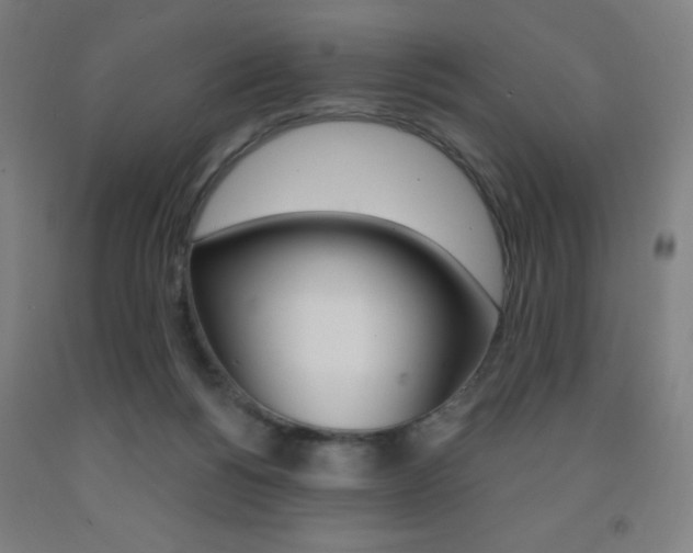 X0000093260168200709261625