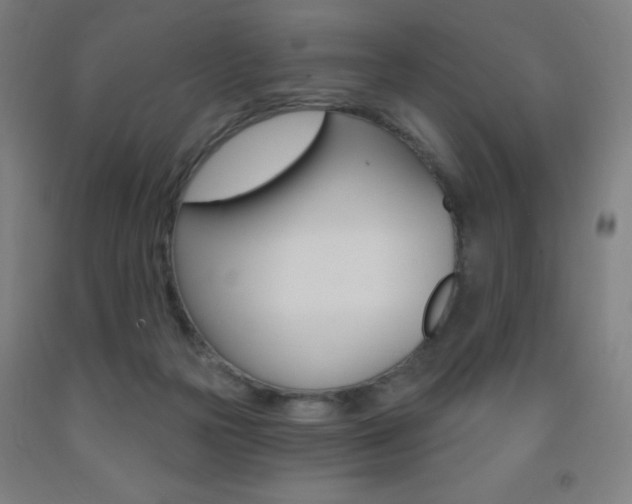 X0000093260169200709261625