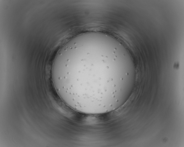 X0000093260171200709261625