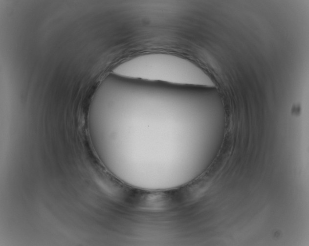 X0000093260173200709261625