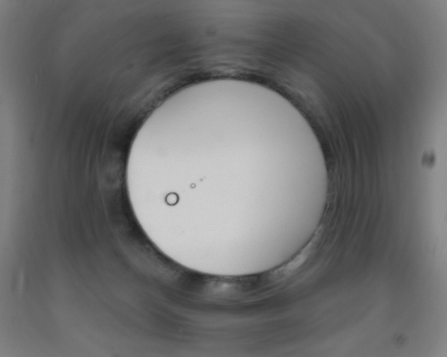 X0000093260174200709261625