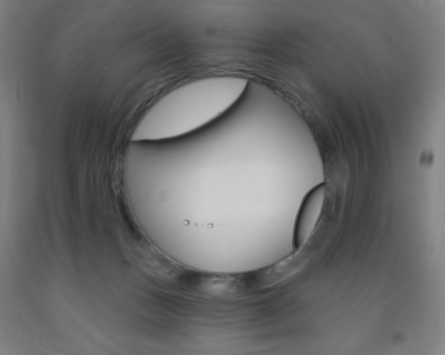 X0000093260175200709261625