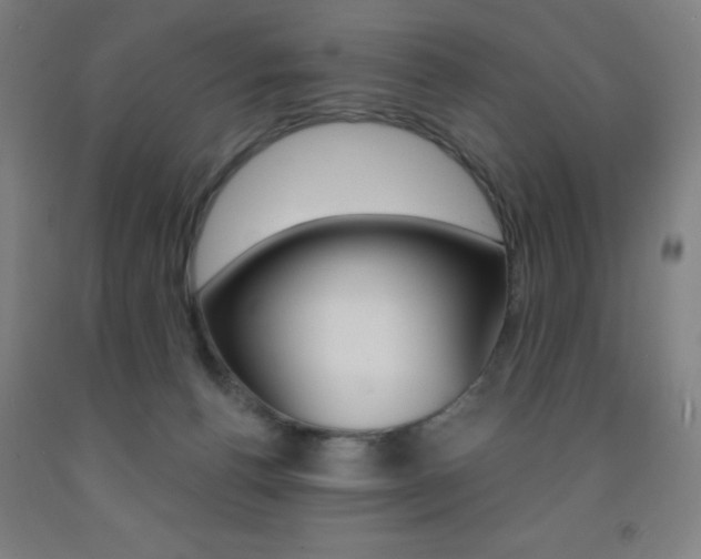 X0000093260176200709261626