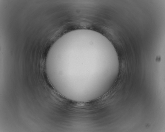 X0000093260177200709261626