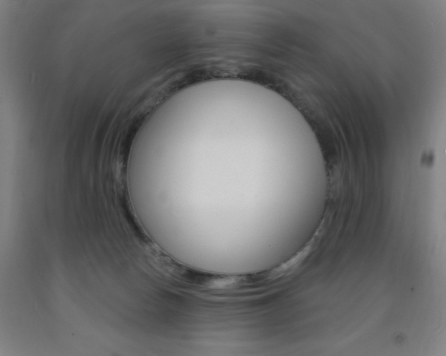 X0000093260178200709261626