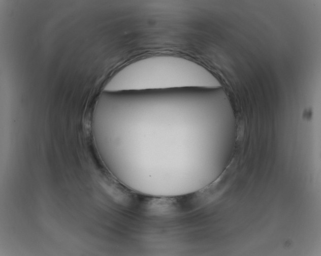 X0000093260179200709261626