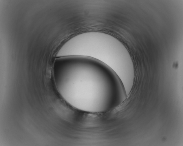 X0000093260180200709261626