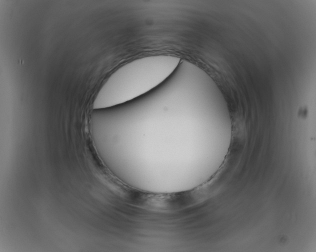 X0000093260182200709261626