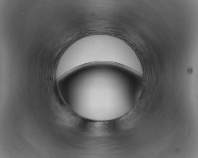 X0000093260184200709261626