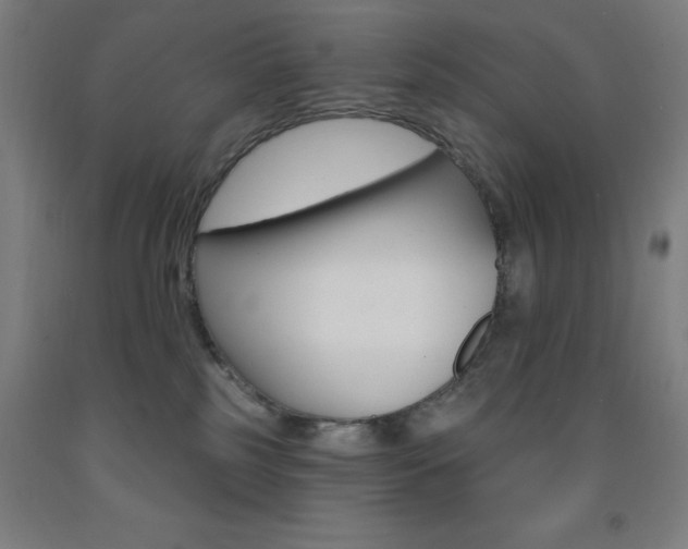 X0000093260185200709261626