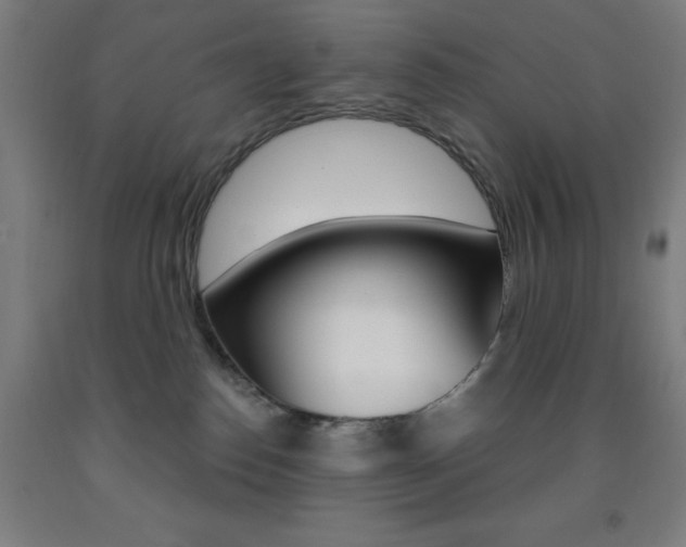 X0000093260186200709261626