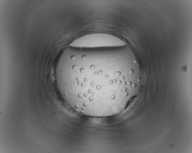 X0000093260187200709261626