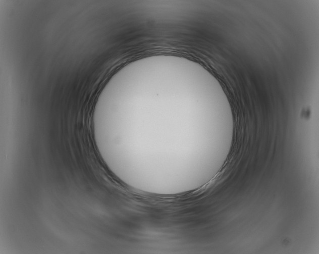 X0000093260188200709261626
