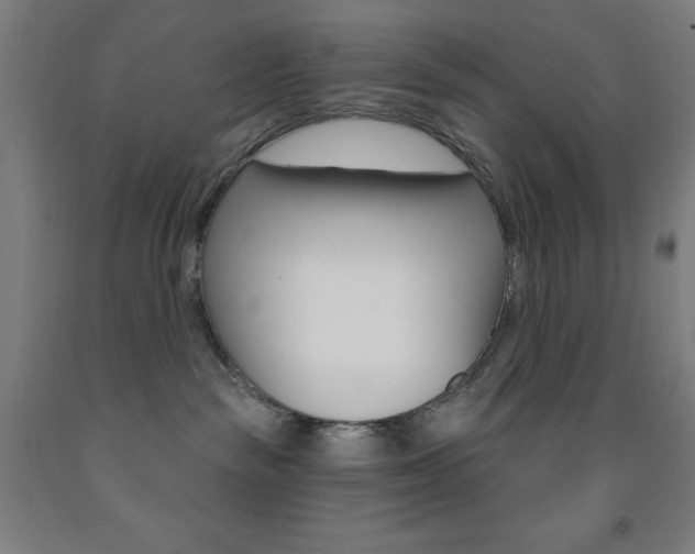 X0000093260189200709261626