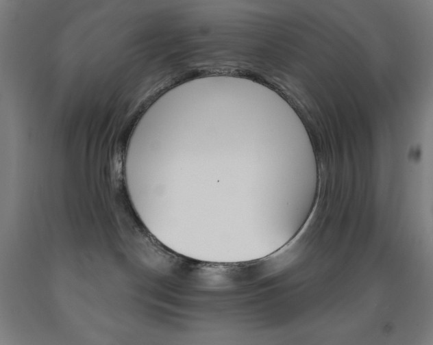 X0000093260190200709261626