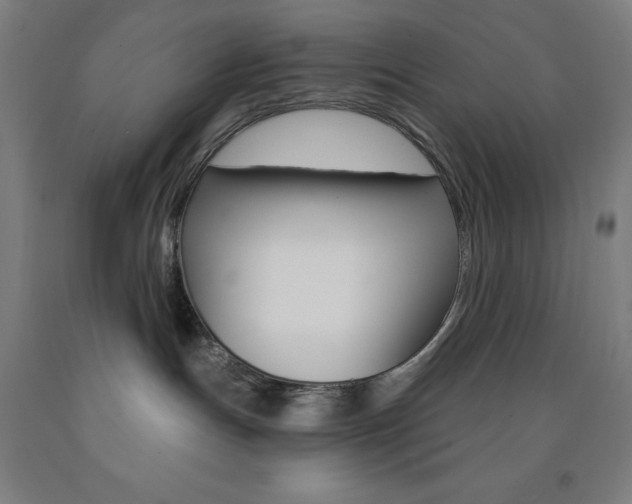 X0000093260191200709261626