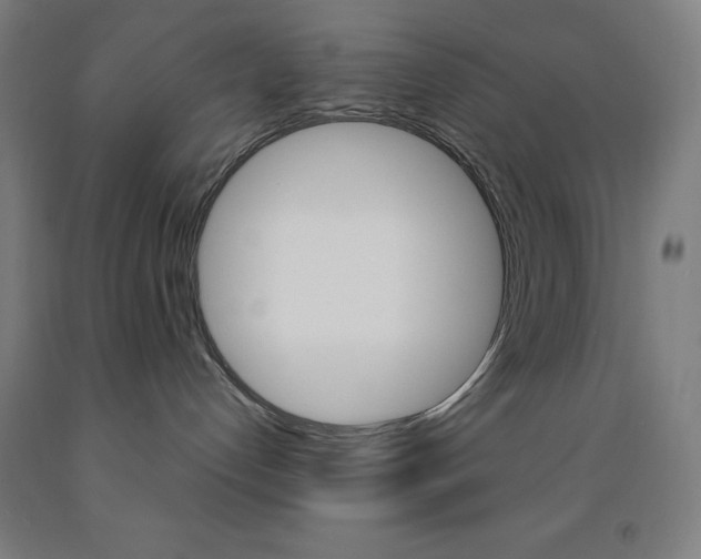 X0000093260192200709261626
