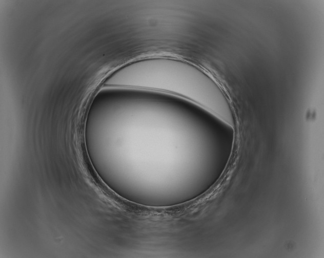 X0000093260193200709261625